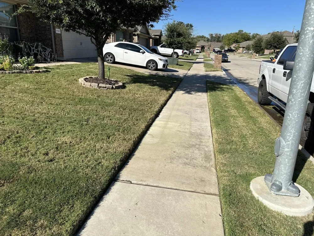 Custom yard cleanup service experts serving Fort Worth, TX - M Lawn Care