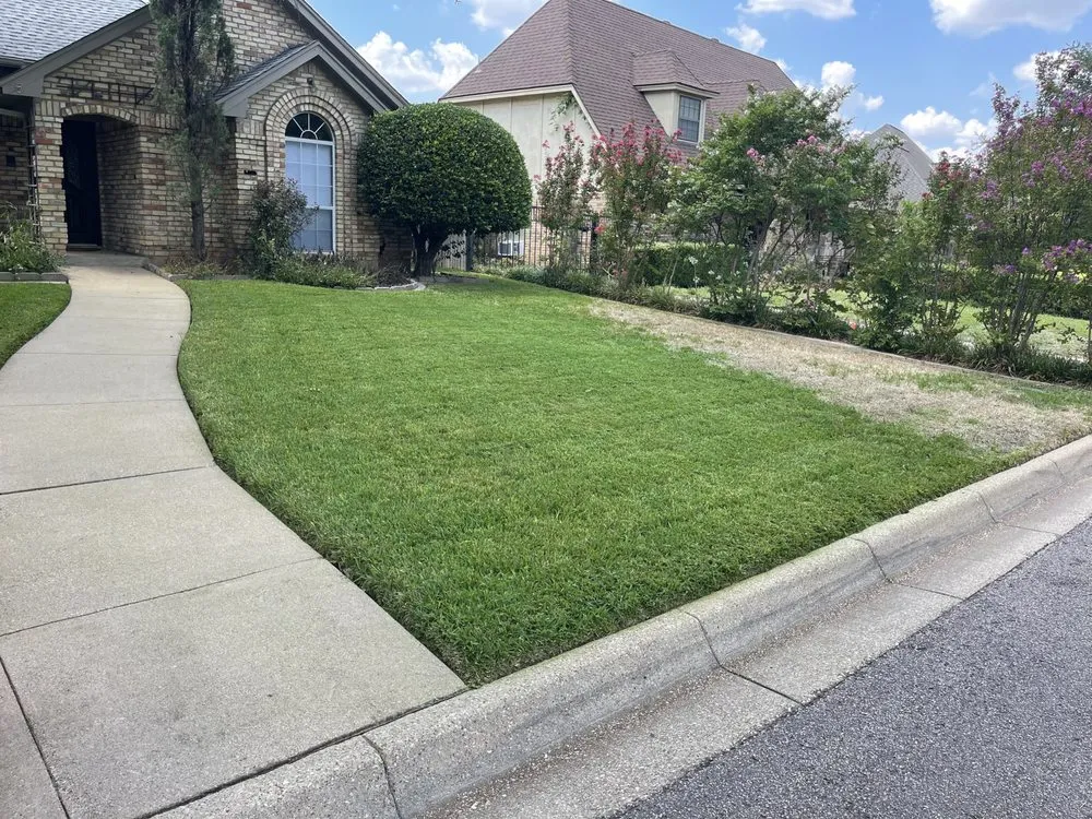 Reliable yard cleanup service for beautiful yards across Fort Worth, TX - M Lawn Care
