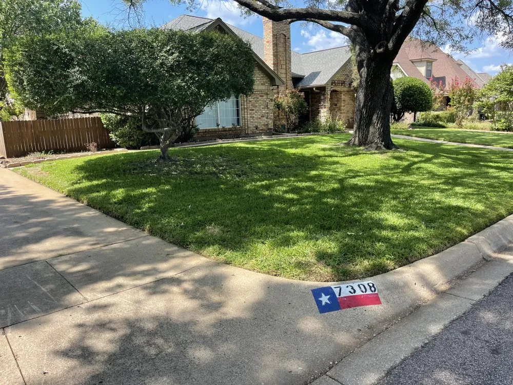 Professional yard maintenance in Fort Worth, TX - M Lawn Care