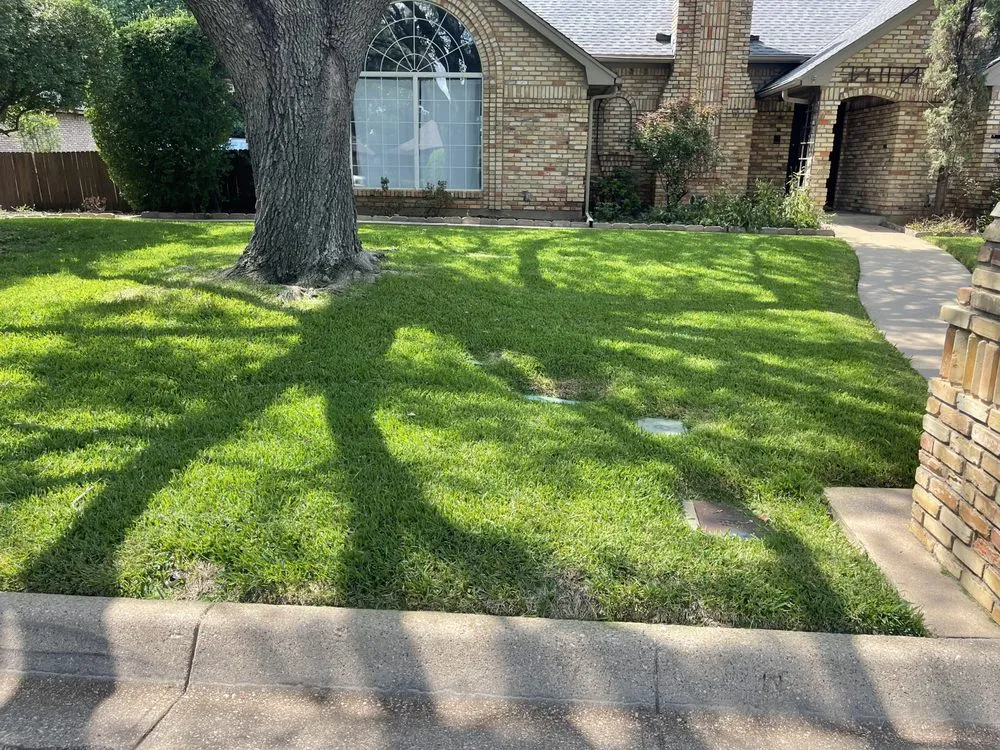 Local landscape installation for homes across Fort Worth, TX - M Lawn Care