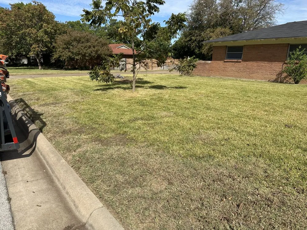 Reliable landscaping services for outdoor upgrades in Fort Worth, TX by M Lawn Care