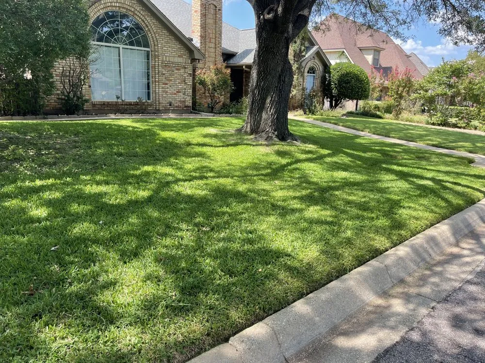 Affordable yard maintenance for year-round maintenance across Fort Worth, TX - M Lawn Care