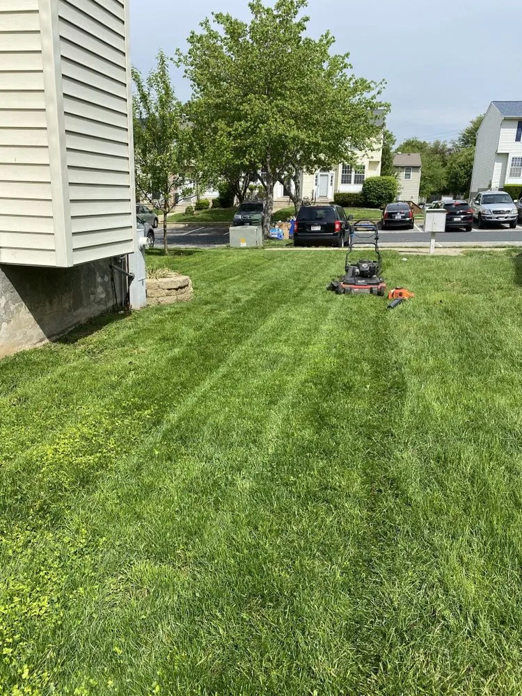 Local lawn care service experts serving Owings Mills, MD - M Linton Lawn Care Service