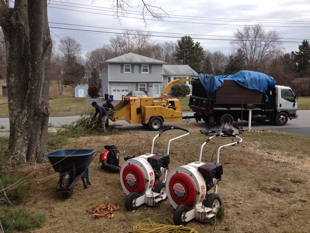 Local garden landscaping for outdoor upgrades in Cortlandt, NY by M LL Trees Service