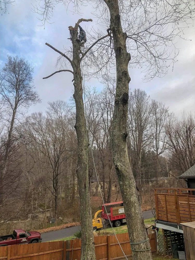 Local landscape installation in Cortlandt, NY by M LL Trees Service