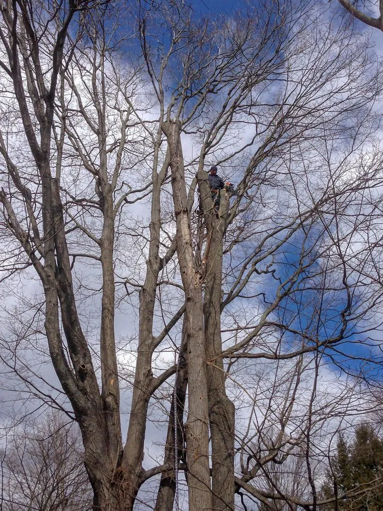 Reliable lawn mowing service in Cortlandt, NY by M LL Trees Service