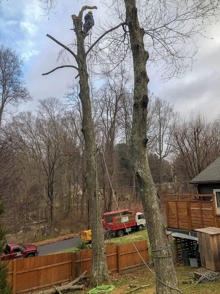 Reliable landscape installation in Cortlandt, NY by M LL Trees Service