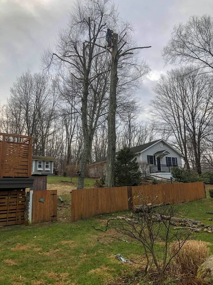 Reliable lawn care service for residential properties across Cortlandt, NY - M LL Trees Service