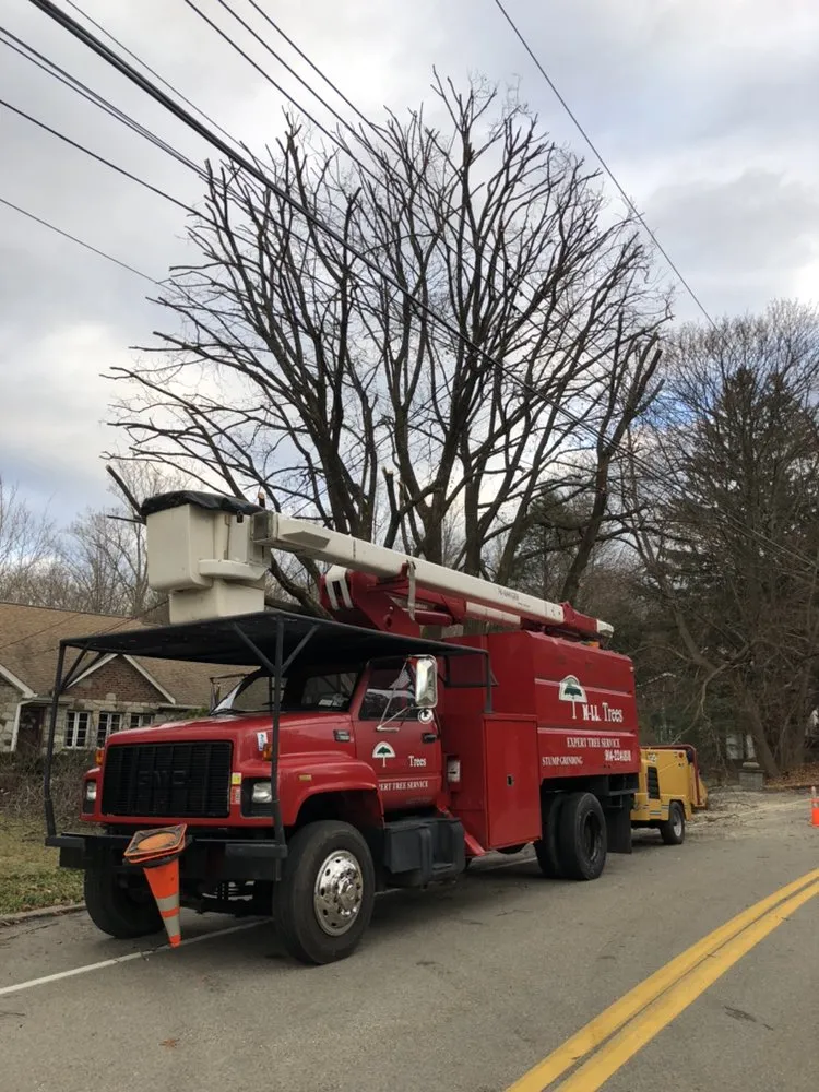 Affordable landscape installation experts serving Cortlandt, NY - M LL Trees Service