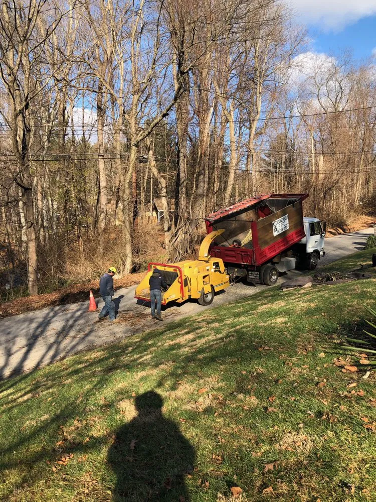 Reliable landscaping services in Cortlandt, NY by M LL Trees Service