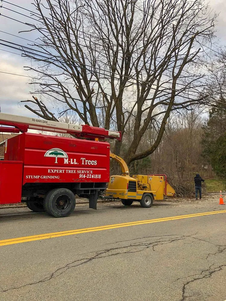 Expert landscaping services in Cortlandt, NY by M LL Trees Service