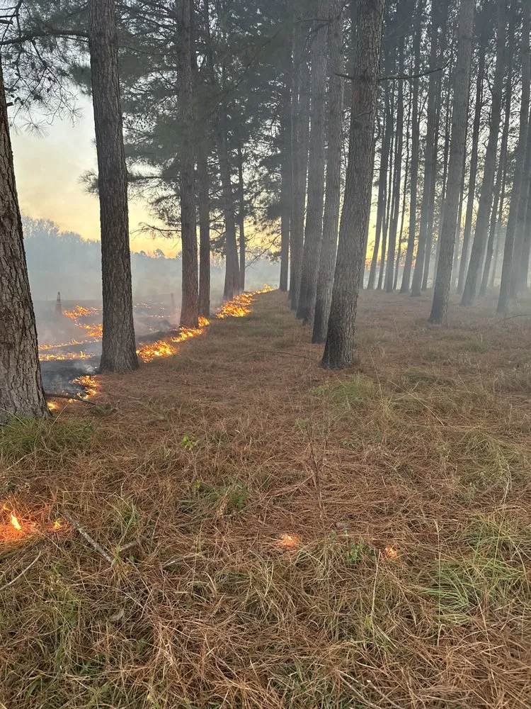 Trusted landscape installation experts serving Chadbourn, NC - M M Land Works