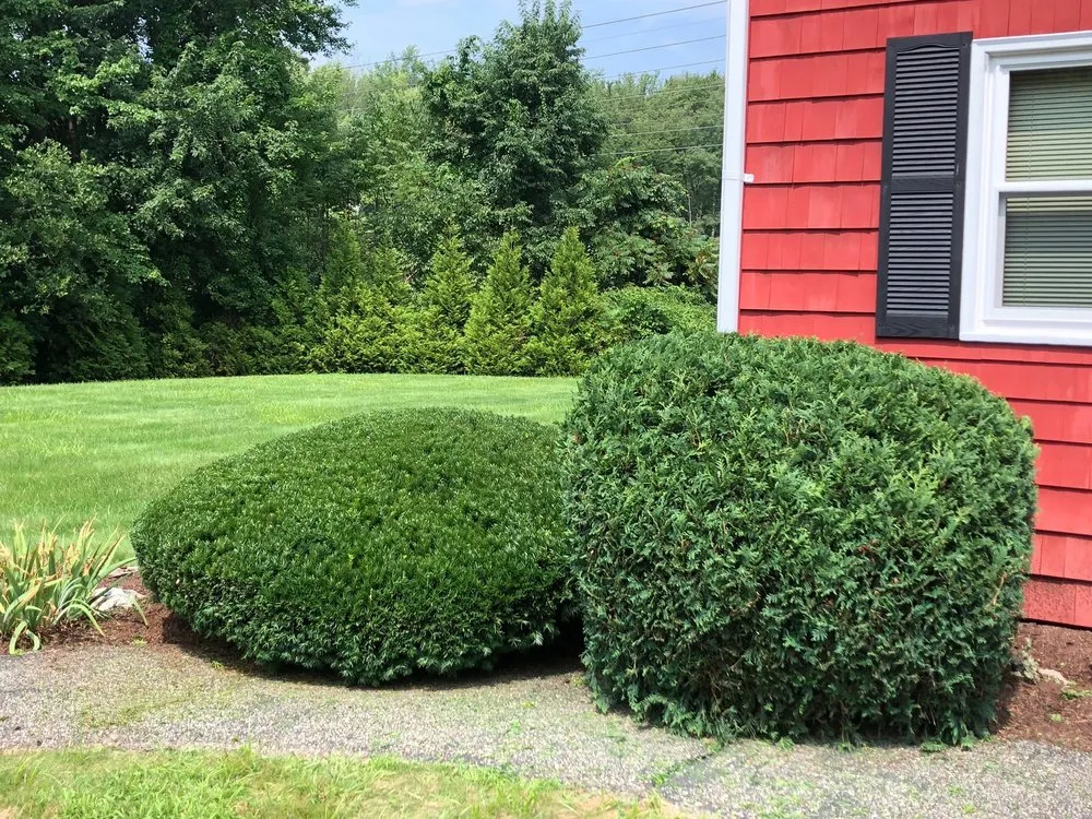 Top-rated yard cleanup service in Marlborough, MA by M M Landscaping