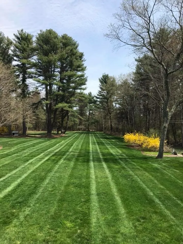Trusted outdoor landscaping in Marlborough, MA by M M Landscaping