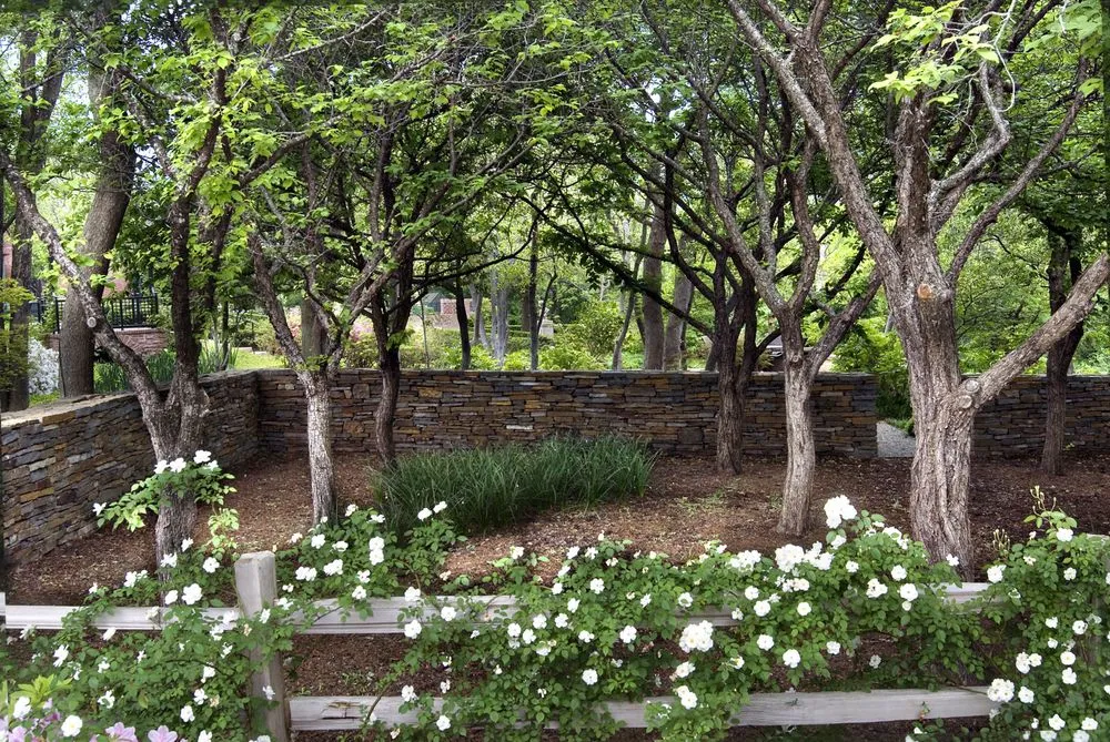 Trusted residential landscaping experts serving Addison, TX - M. M. Moore Construction Company