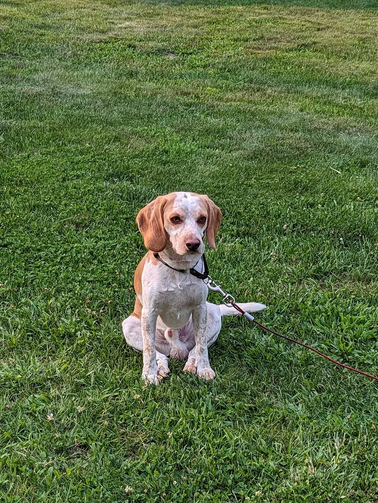 Custom landscaping services near you across Webster, NY - M McDonnell Enterprise