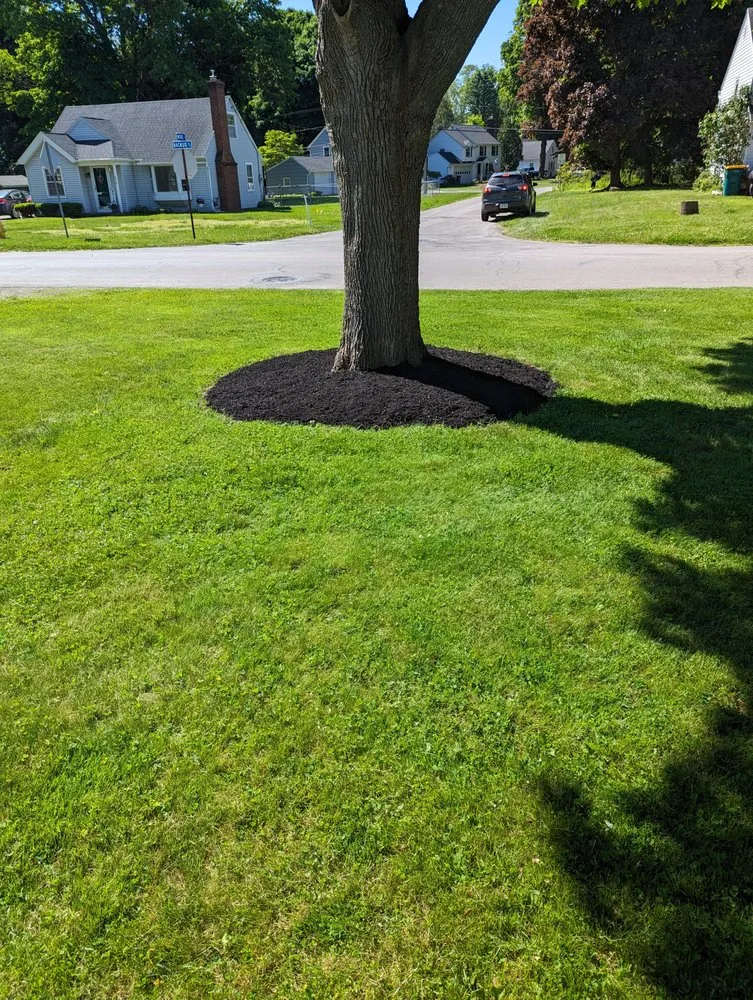 Trusted yard maintenance near you across Webster, NY - M McDonnell Enterprise