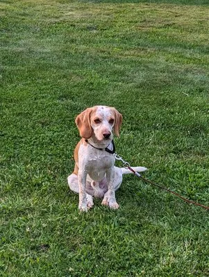 M McDonnell Enterprise Logo