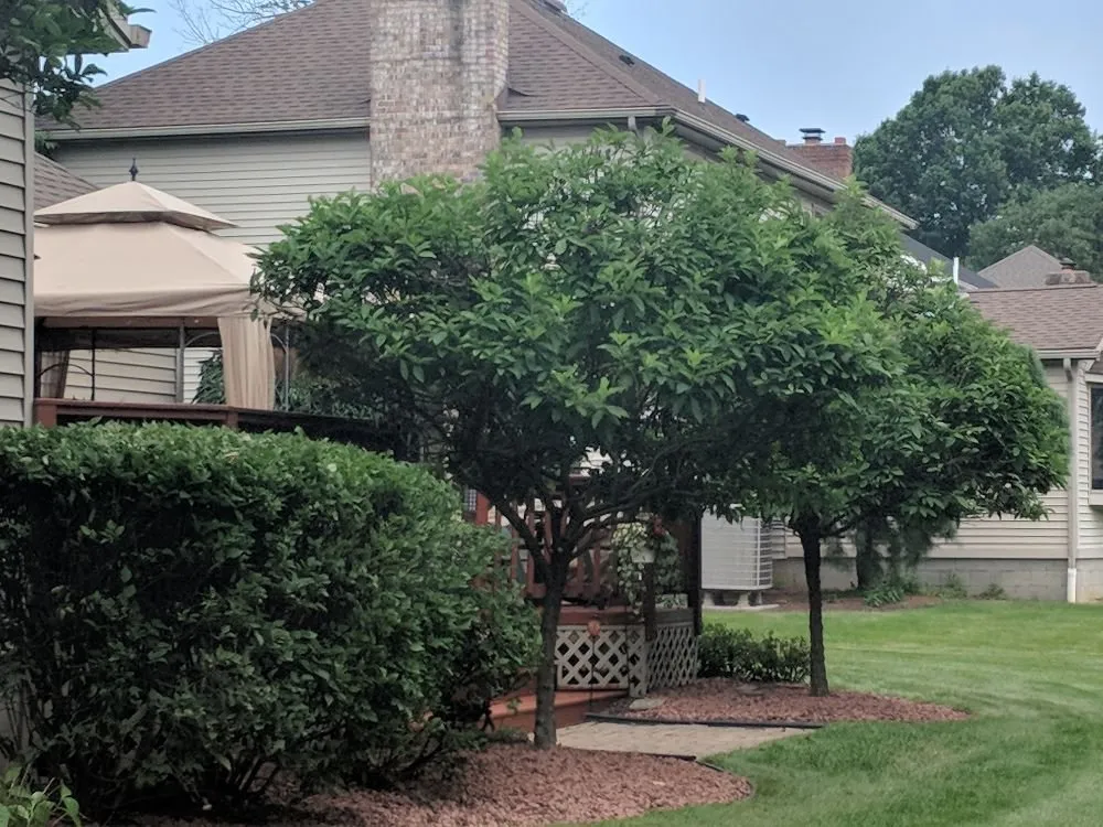 Expert landscape installation for year-round maintenance across Campbell, OH - M N M LawnCare