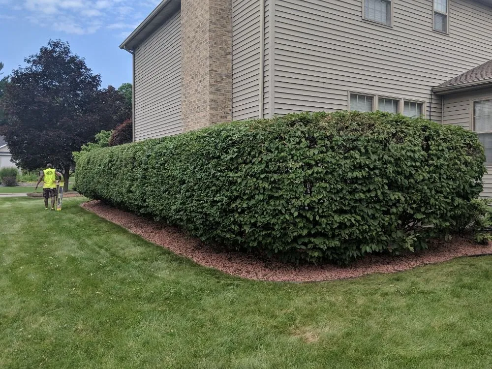 Professional yard maintenance near you in Campbell, OH by M N M LawnCare