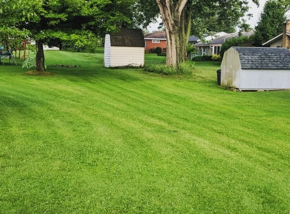 Affordable garden landscaping in Campbell, OH - M N M LawnCare