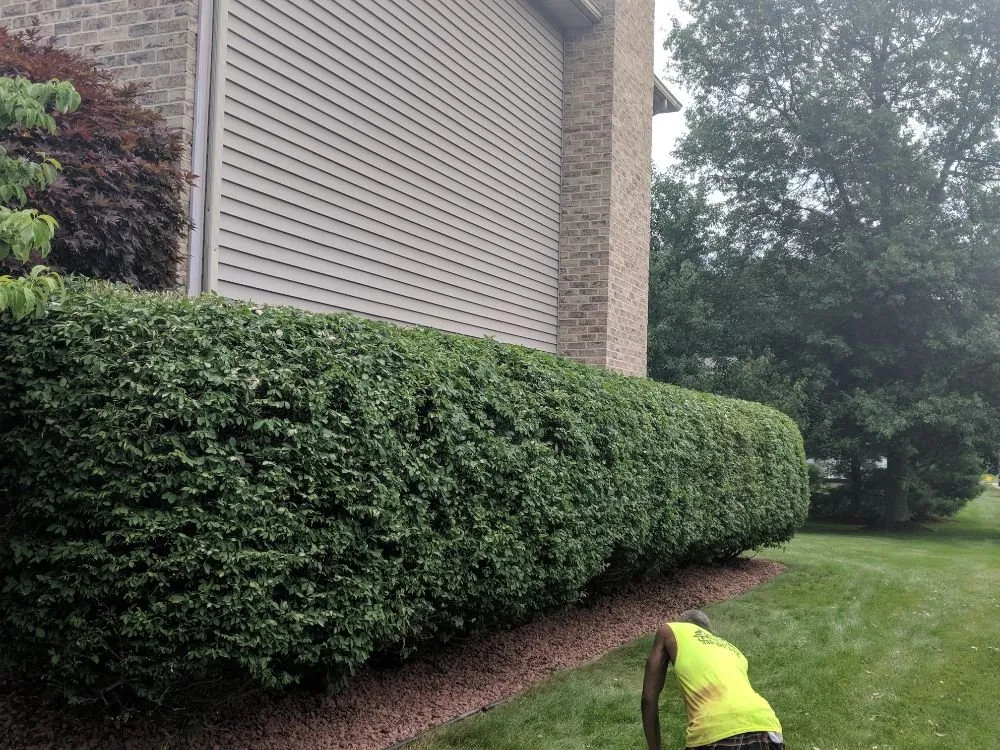 Affordable landscaping services experts serving Campbell, OH - M N M LawnCare