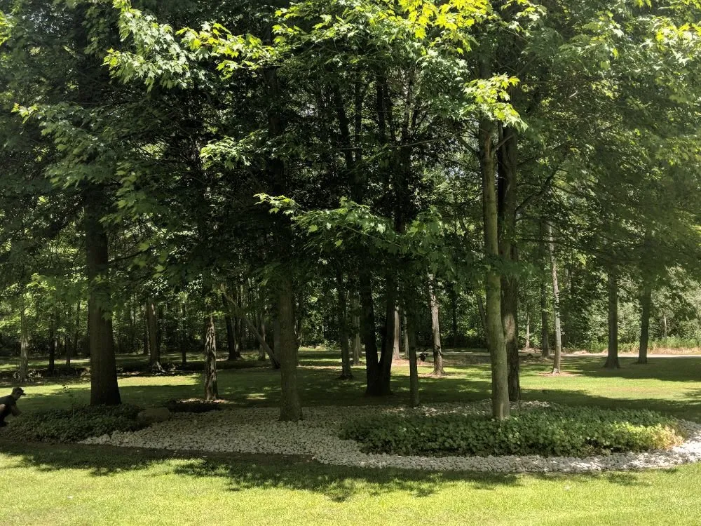 Local yard maintenance for homes across Campbell, OH - M N M LawnCare