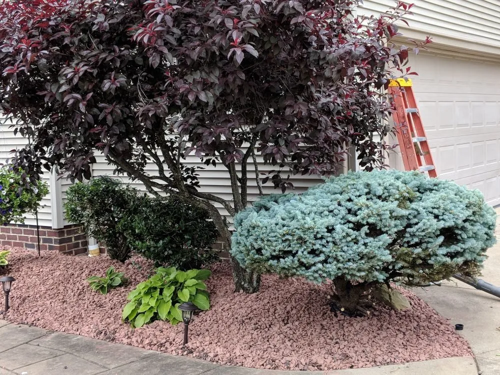 Affordable landscape installation for homes in Campbell, OH by M N M LawnCare
