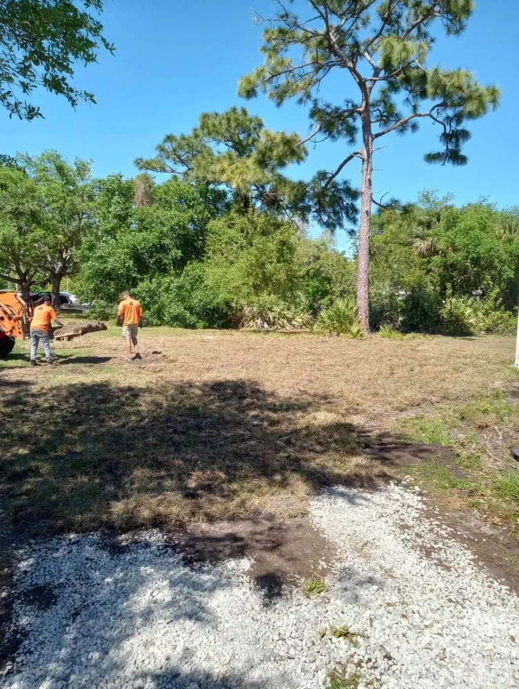 Local yard cleanup service with custom design across Rockledge, FL - M Owen Your Lawn