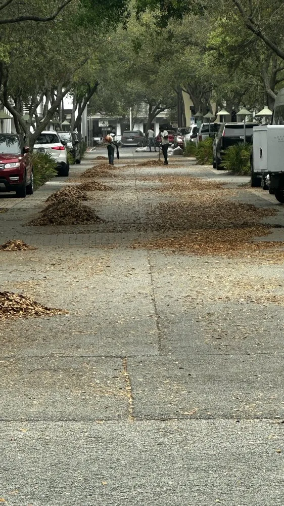 Reliable garden landscaping in Panama City Beach, FL - M P Venture Estate