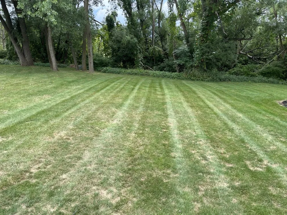 Expert lawn mowing service in Lancaster, NY by M Property Maintenance