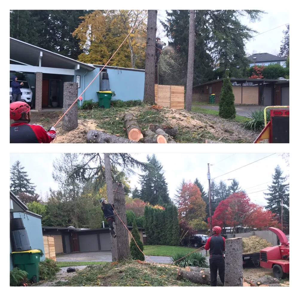 Reliable lawn mowing service experts serving Beaverton, OR - M Pruning Landscaping