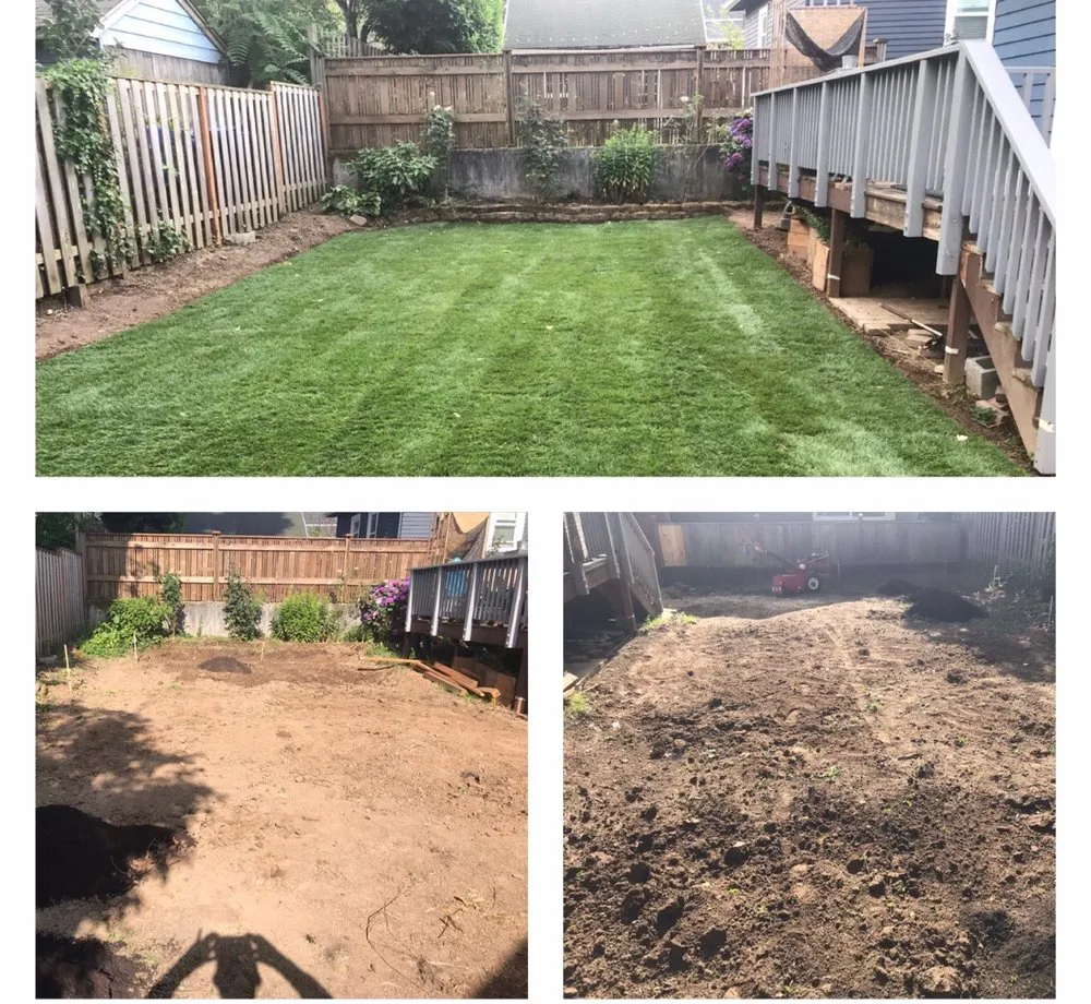 Top-rated yard cleanup service in Beaverton, OR by M Pruning Landscaping