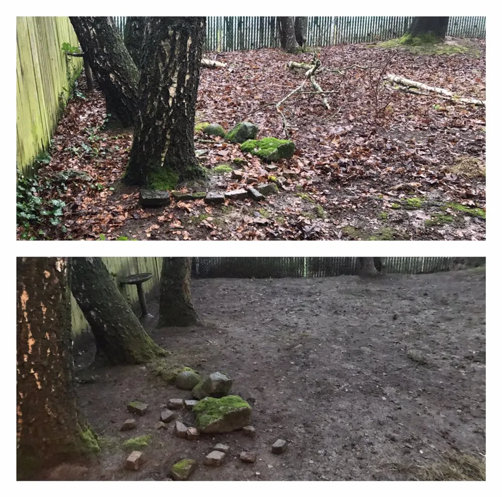 Expert residential landscaping in Beaverton, OR by M Pruning Landscaping