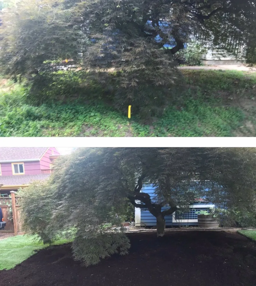 Expert landscaping services for residential properties across Beaverton, OR - M Pruning Landscaping