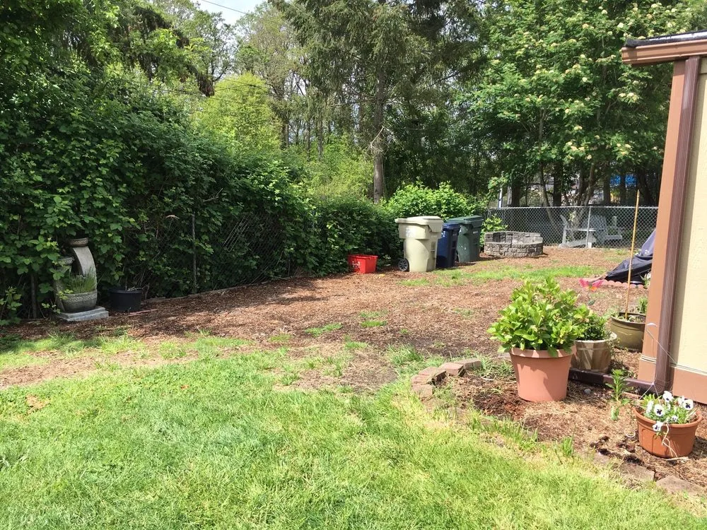 Affordable outdoor landscaping for outdoor upgrades in Beaverton, OR by M Pruning Landscaping