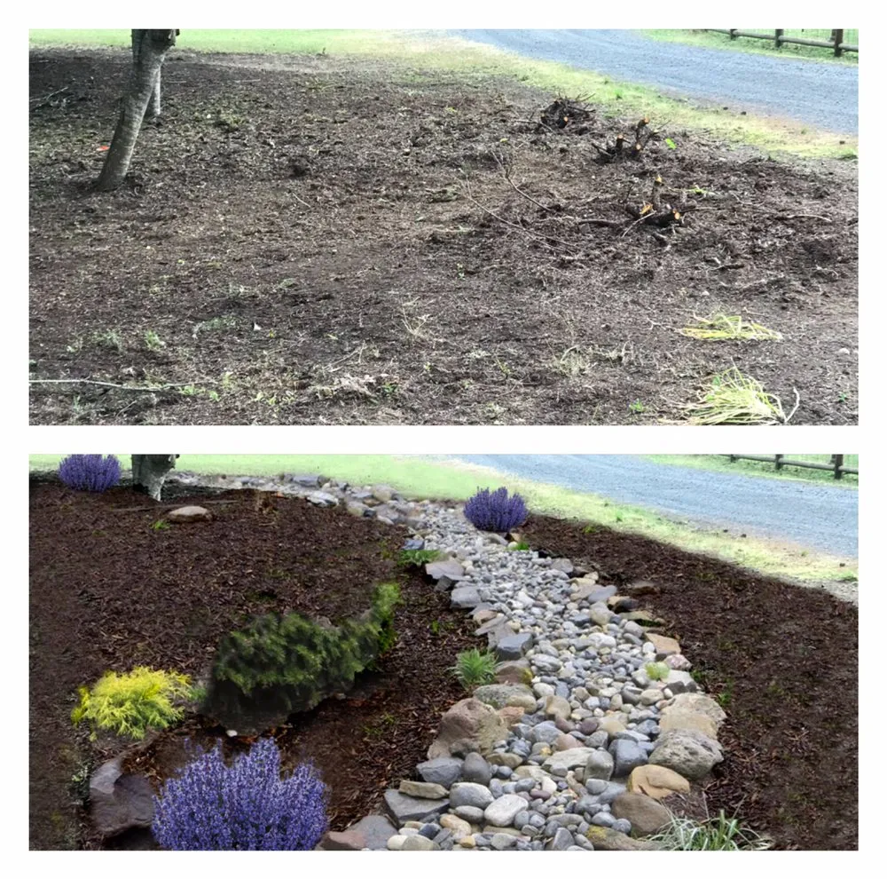 Top-rated landscape installation near you in Beaverton, OR by M Pruning Landscaping