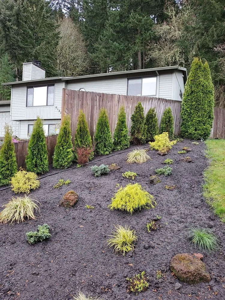 Local landscape design in Beaverton, OR - M Pruning Landscaping