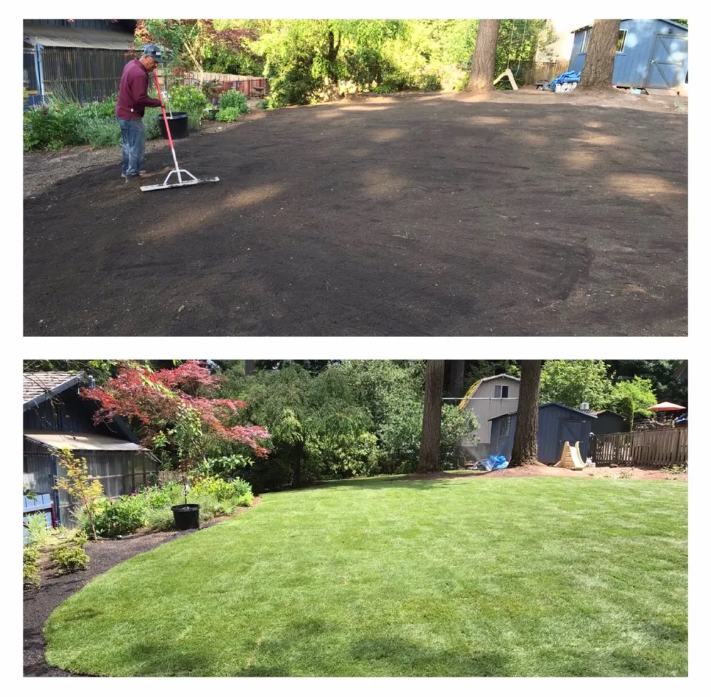 Reliable yard cleanup service in Beaverton, OR - M Pruning Landscaping