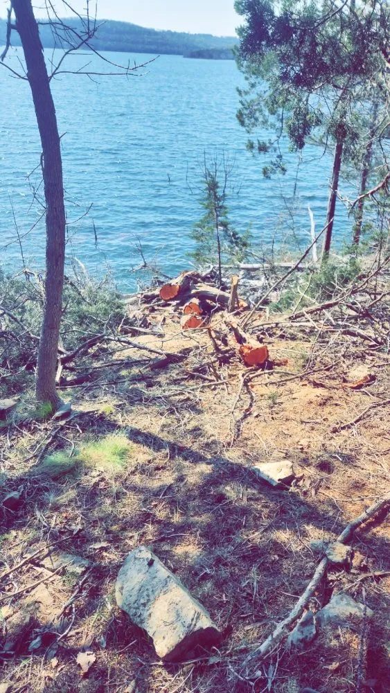 Professional lawn mowing service experts serving Austin, TX - M-Pyrescapez Konstruction