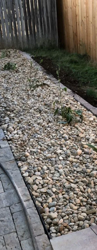 Affordable yard cleanup service in Austin, TX - M-Pyrescapez Konstruction