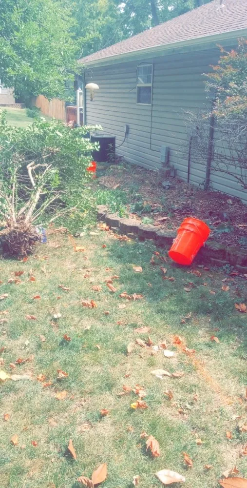 Reliable yard maintenance experts serving Austin, TX - M-Pyrescapez Konstruction