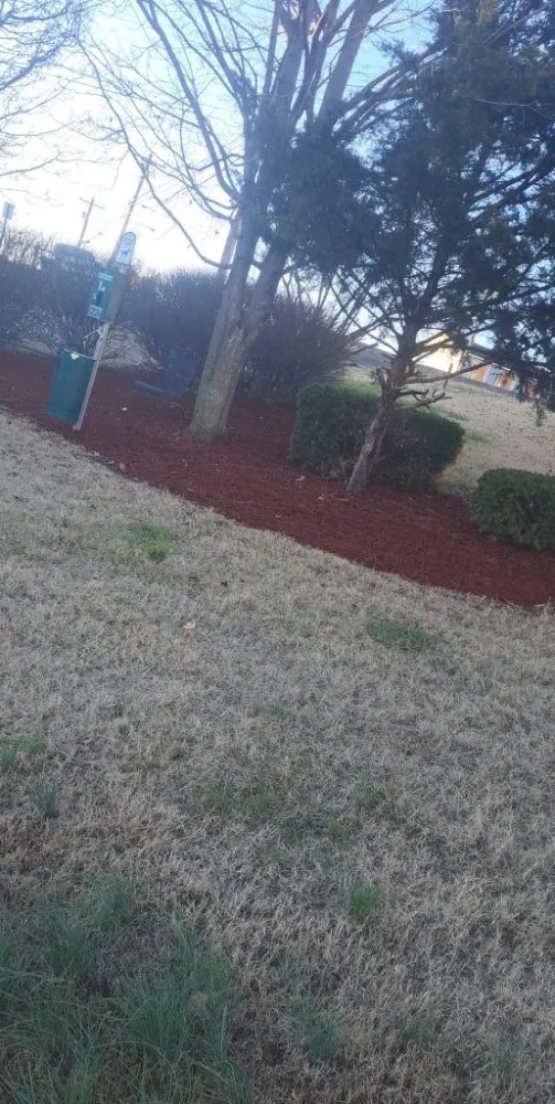 Professional residential landscaping in Austin, TX - M-Pyrescapez Konstruction