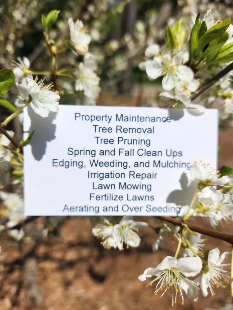Top-rated yard maintenance in Harwich, MA by M R Eldredge Landscaping