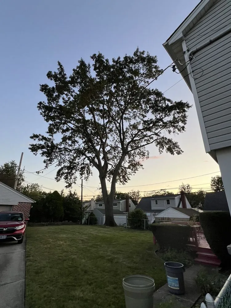 Custom yard maintenance in Garden City South, NY - M. Ramirez Landscaping