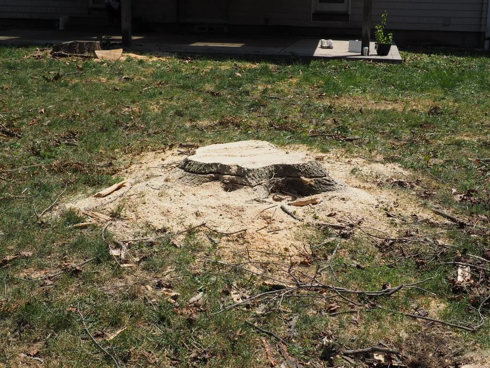 Expert yard maintenance in Garden City South, NY by M. Ramirez Landscaping