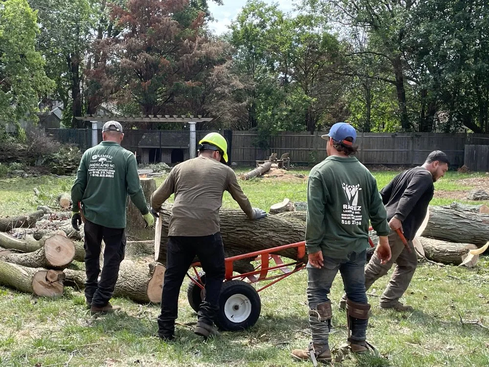 Expert lawn mowing service experts serving Garden City South, NY - M. Ramirez Landscaping