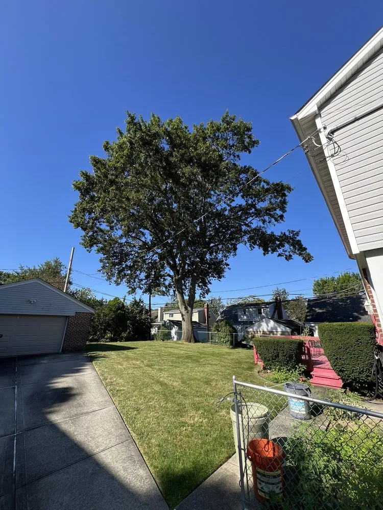 Top-rated lawn mowing service in Garden City South, NY by M. Ramirez Landscaping