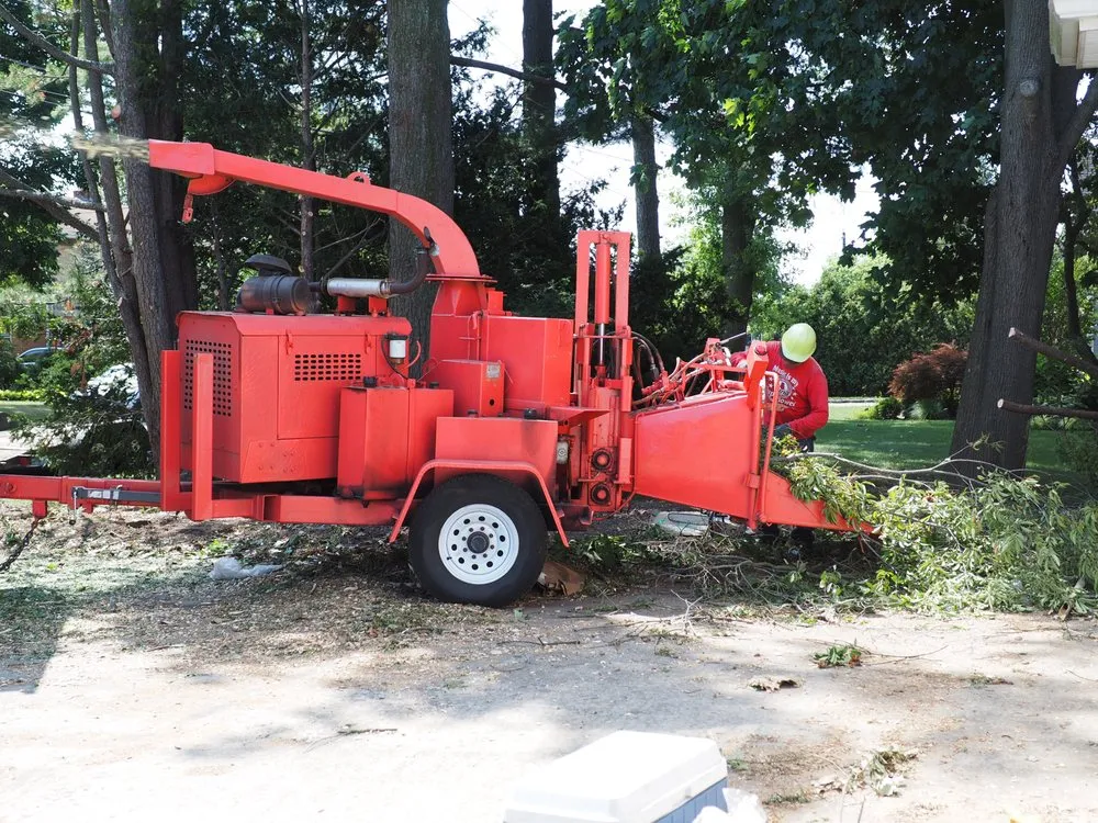 Top-rated yard cleanup service for residential properties in Garden City South, NY by M. Ramirez Landscaping