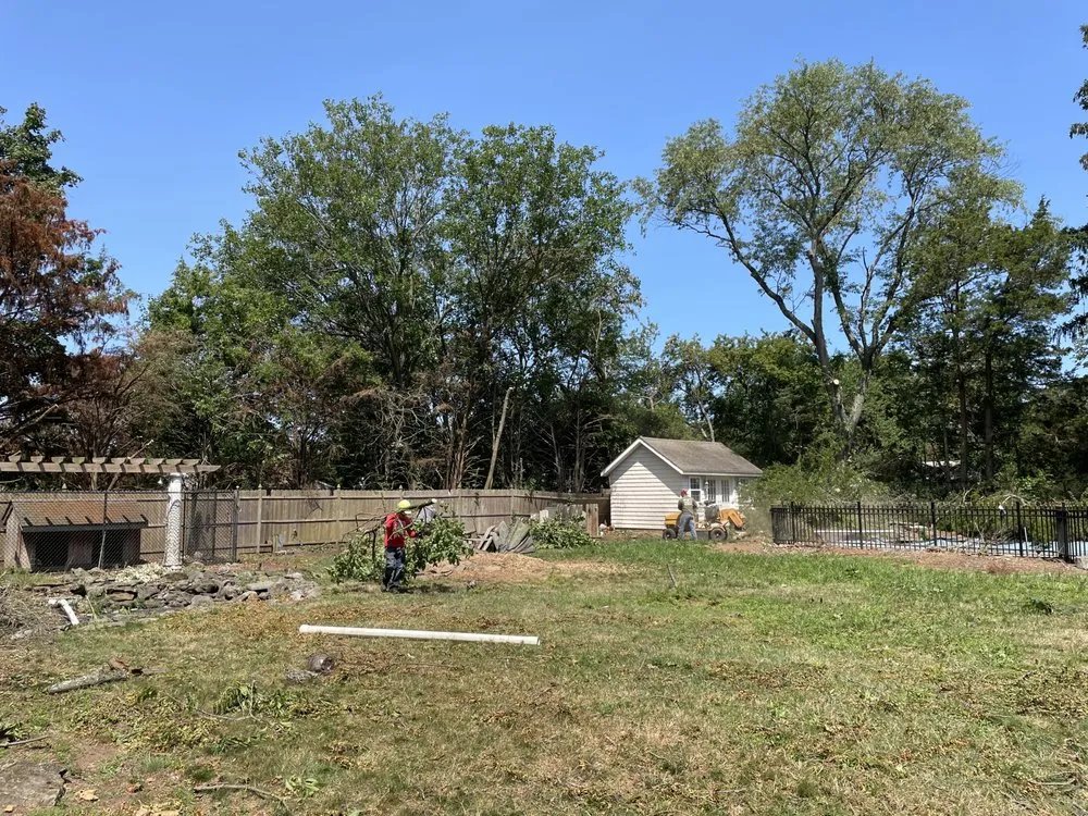 Local yard maintenance for outdoor upgrades across Garden City South, NY - M. Ramirez Landscaping